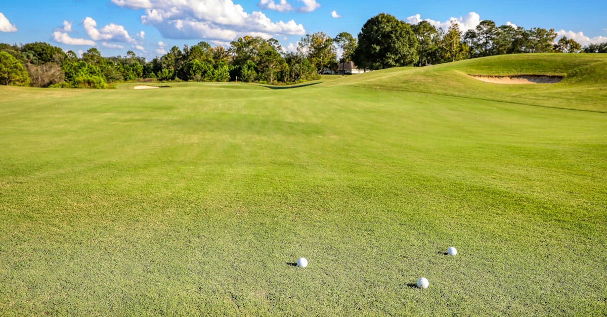 Sunny day on a golf course in Eustis, FL, with golf balls on green fairway under blue sky.